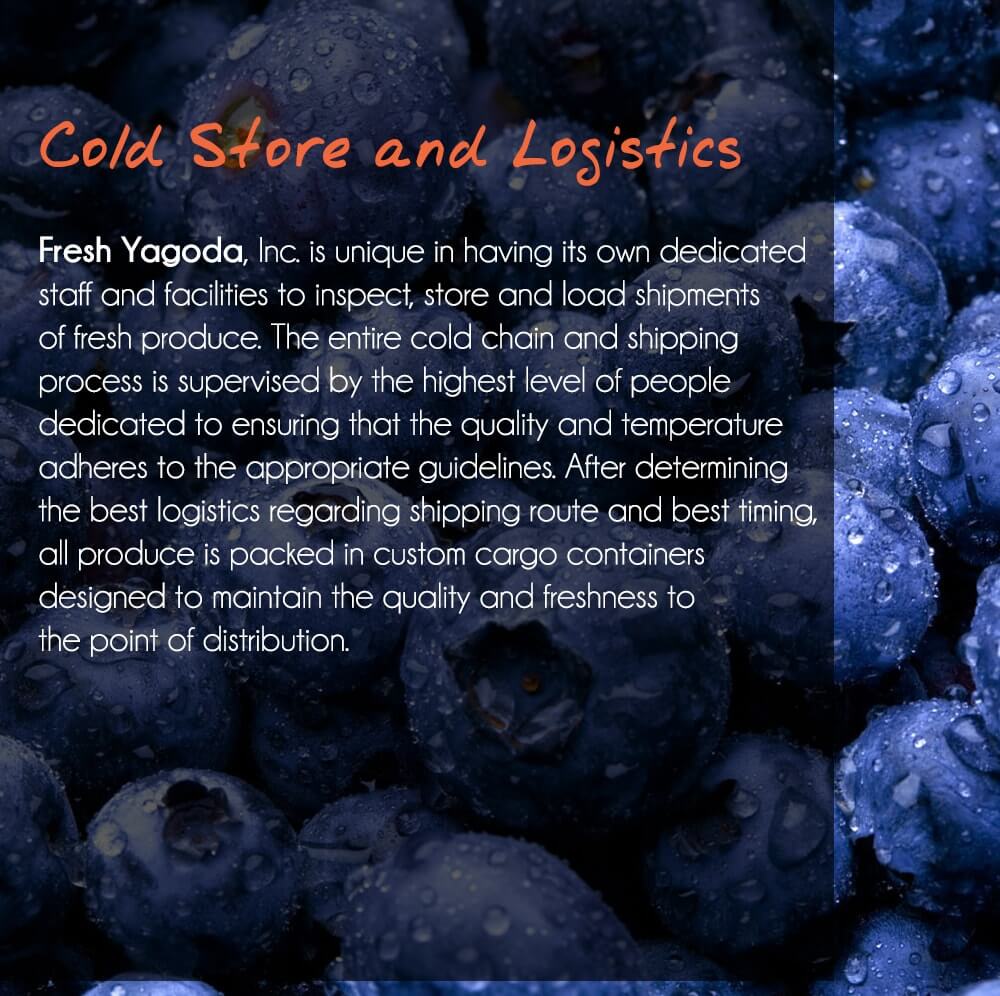 Cold Store and Logistics