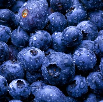 Cold Store and Logistics