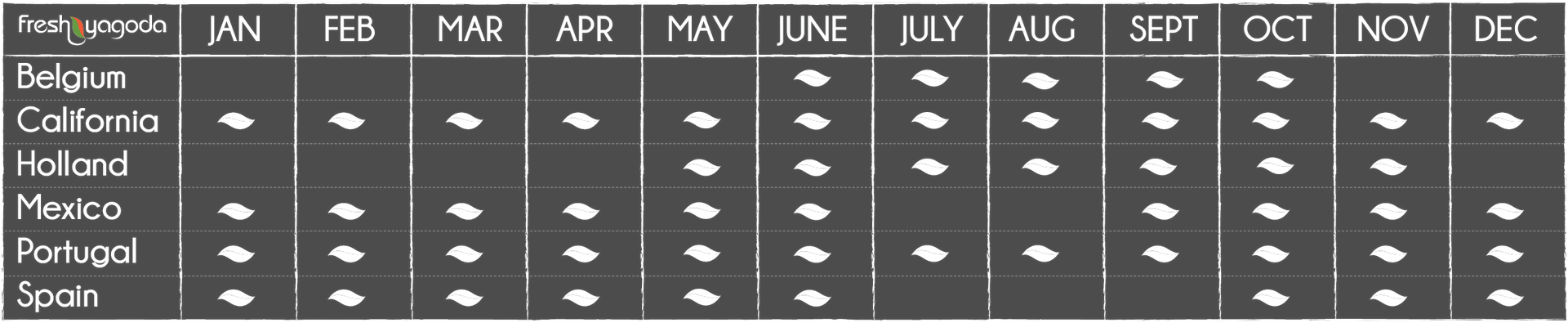 Raspberries availability calendar